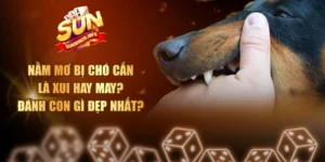 Nằm Mơ Bị Chó Cắn Là Xui Hay May? Đánh Con Gì Đẹp Nhất?